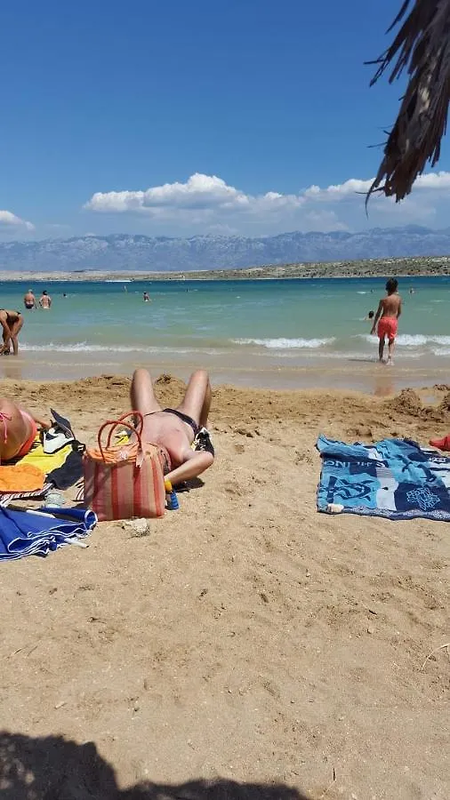 Croliday Apartment With Pool Nin Vrsi Croatia